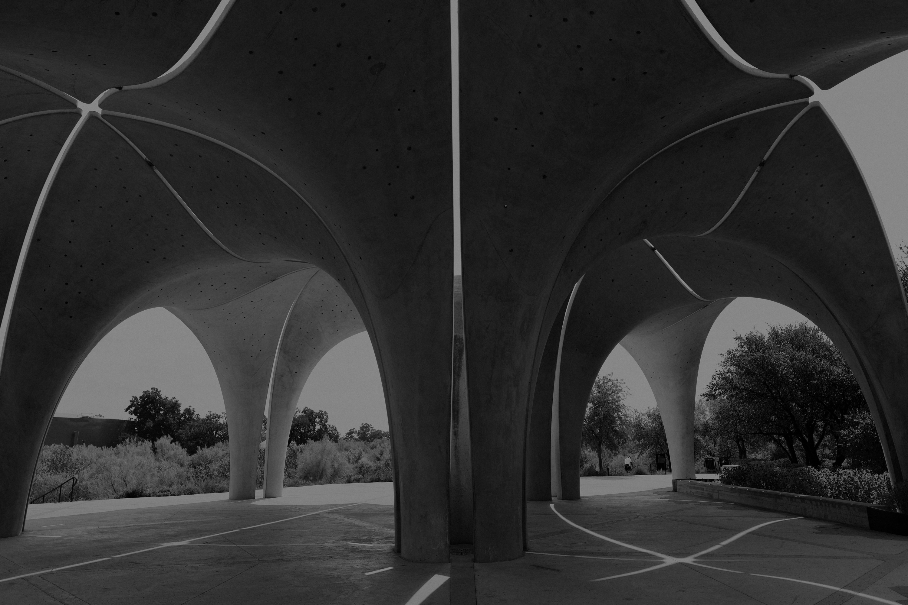 Black-and-white architectural photograph of the Confluence Park pavilion in San Antonio, showcasing sweeping concrete petal-shaped arches and dramatic geometric symmetry.