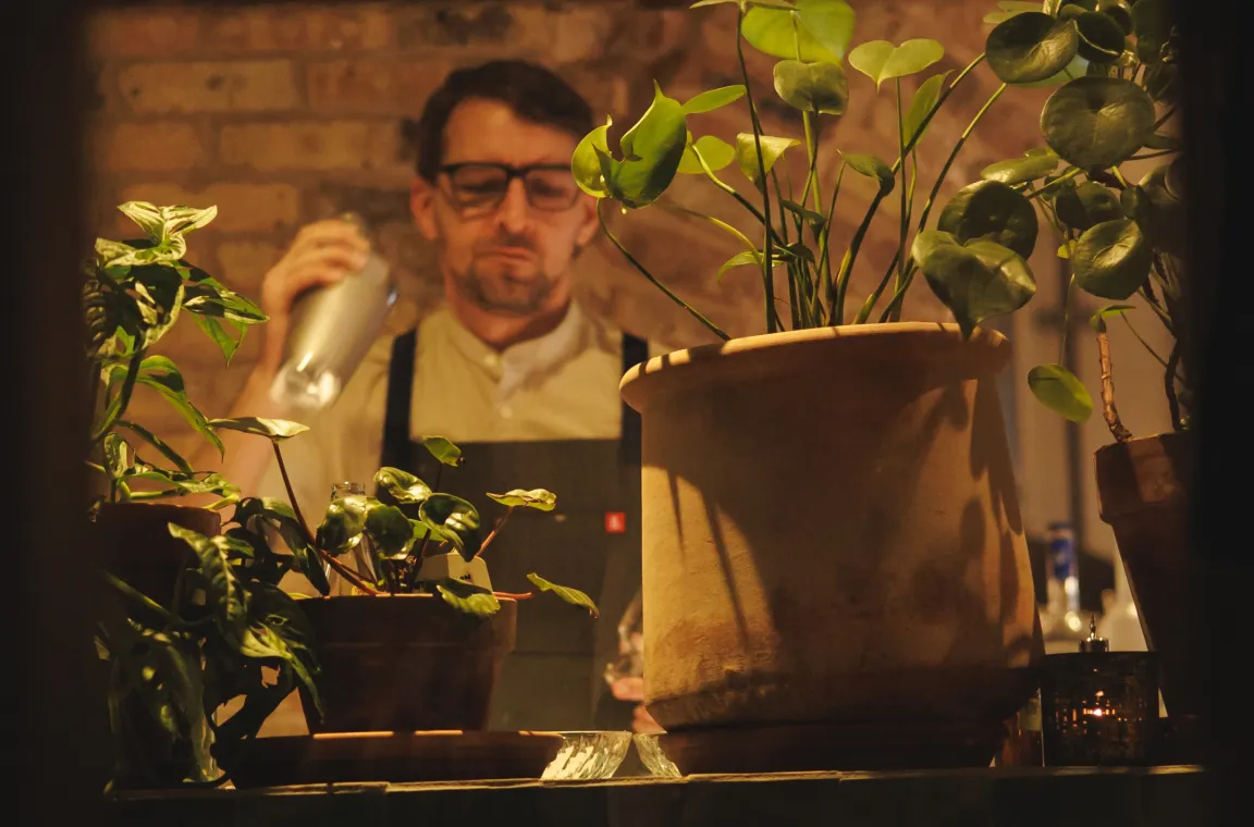 Bartender shaking a cocktail behind potted plants, viewed through a restaurant window at Ladino in San Antonio.