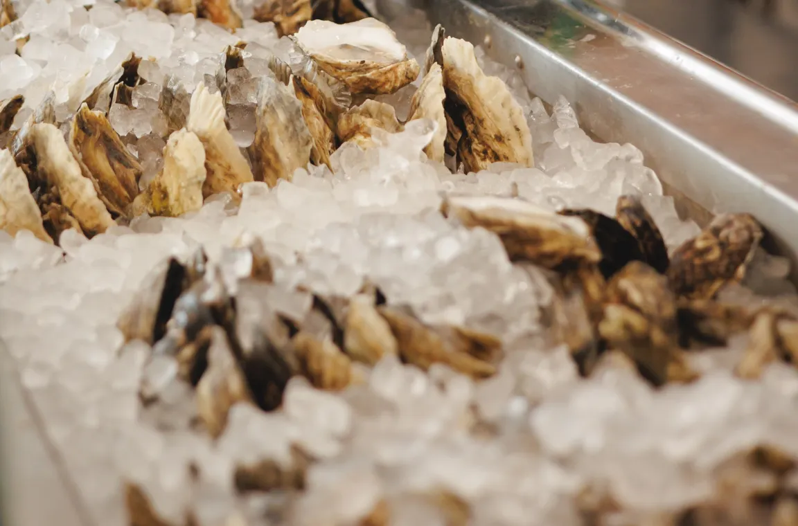 Fresh oysters on the half shell nestled in crushed ice at Little Em's Oyster Bar, ready to be served.