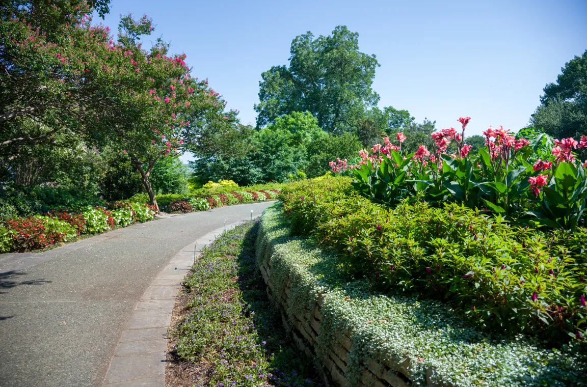 A winding garden path bordered by colorful flower beds, blooming pink crepe myrtles, and lush landscaping under a bright blue Texas sky.