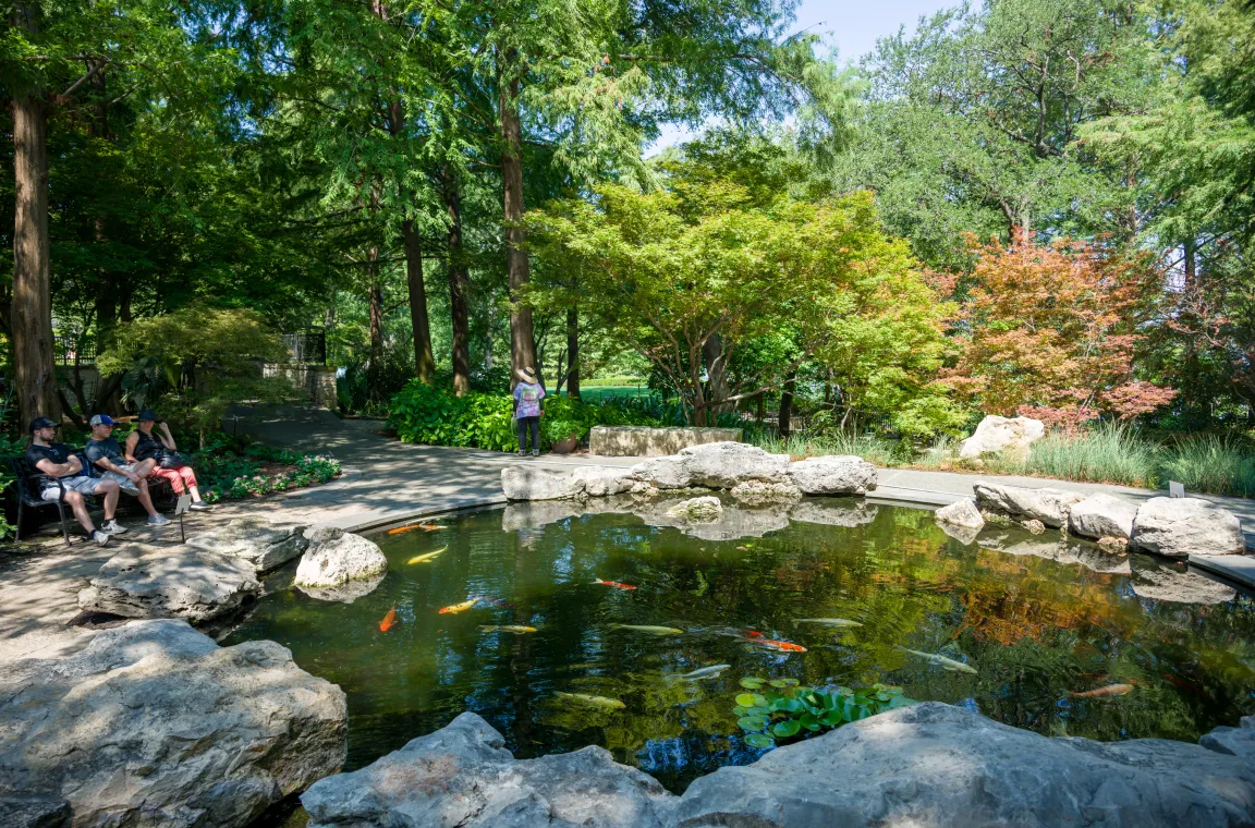A tranquil koi pond surrounded by natural stone, mature trees, and shaded walking paths in one of the Arboretum's peaceful garden areas.