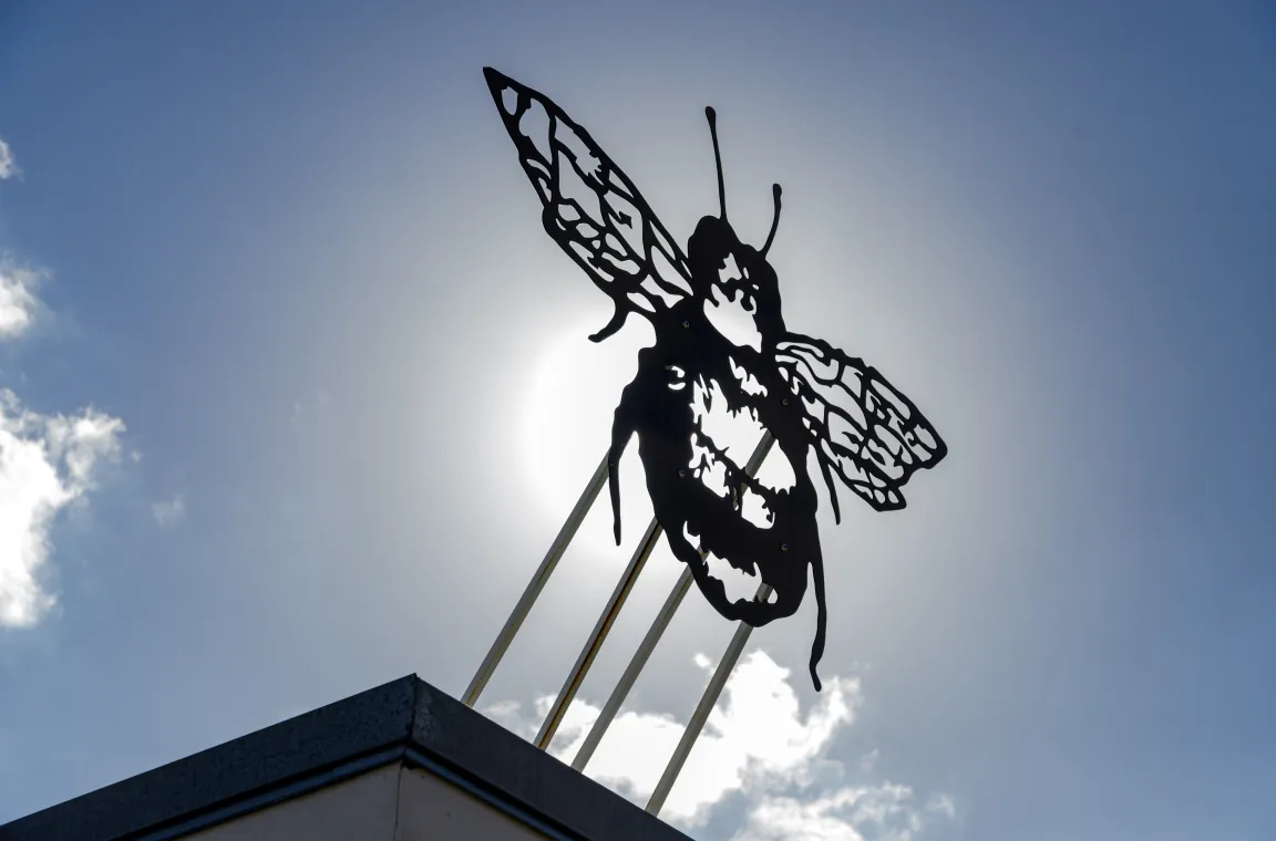 Decorative bee sculpture atop the Abejas Boutique building silhouetted against the sun and a partly cloudy Houston sky.