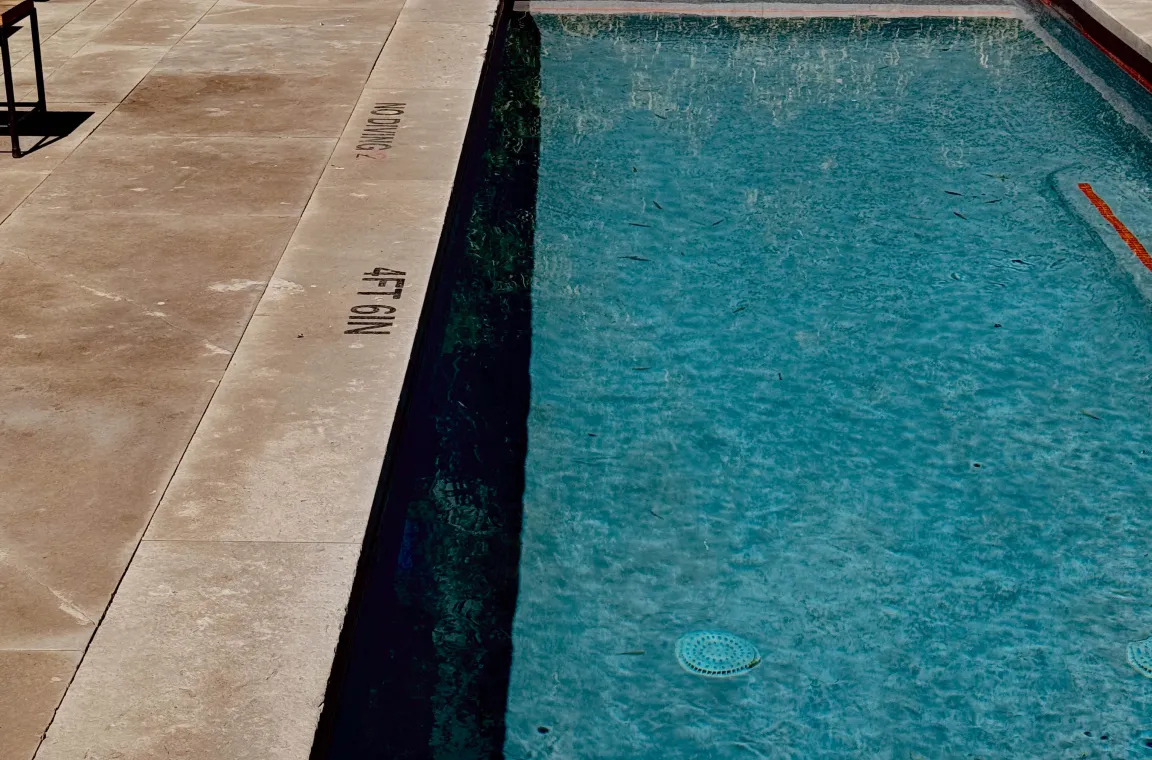 Swimming pool at Hotel San José surrounded by lounge seating, lush greenery, and a relaxed courtyard atmosphere.