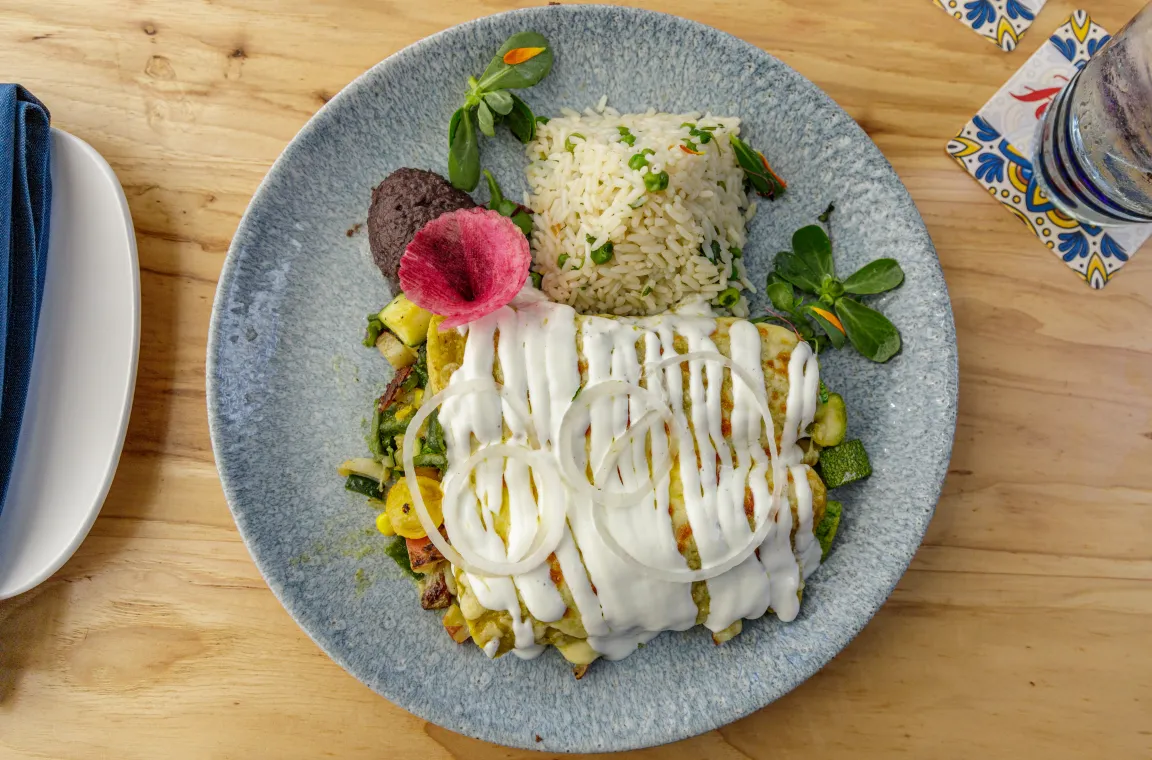 A plated Mexican entree featuring enchiladas drizzled with white crema and onion rings, served with a side of rice, black beans, and colorful garnishes.