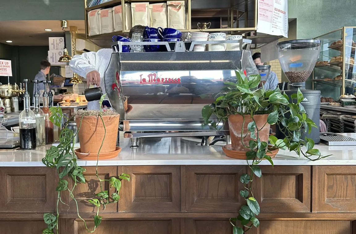 A straight-on view of a polished chrome La Marzocco espresso machine sitting on a white marble counter, flanked by two terracotta pots with trailing green ivy plants against a dark wood base.