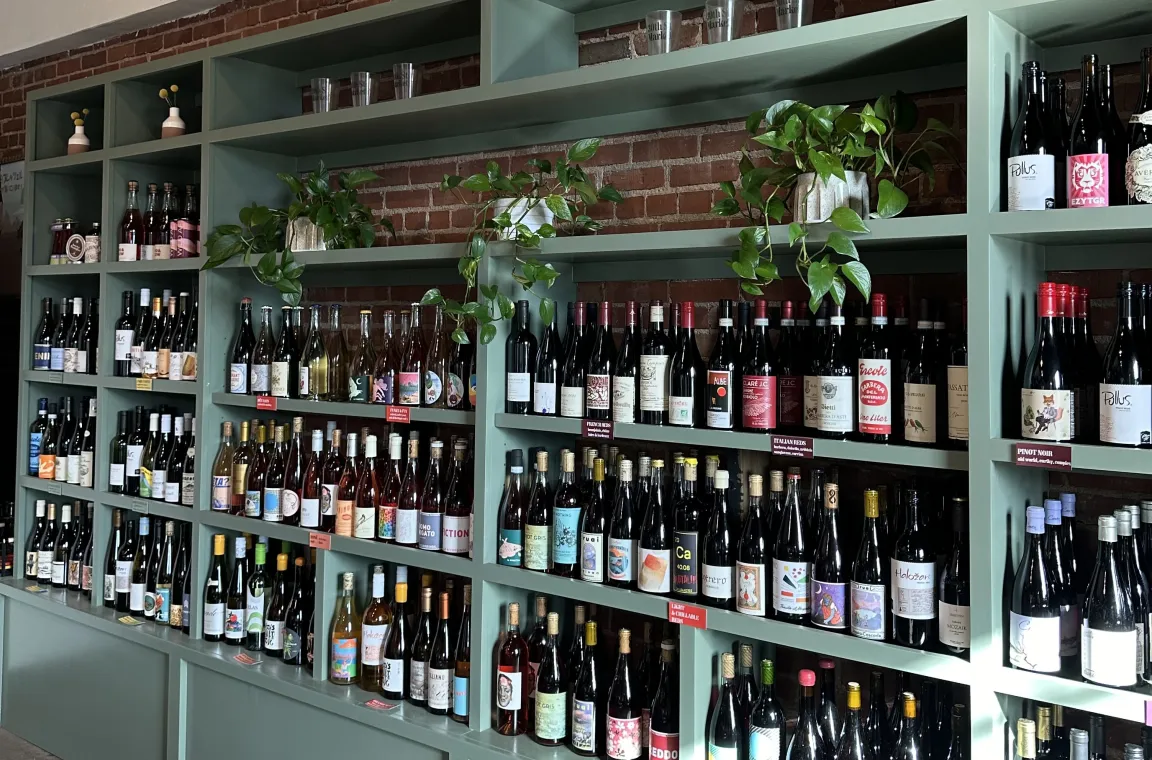 A high-angle view of an extensive sage green shelving unit filled with a large selection of wine bottles and small potted plants, with a vintage bicycle hanging from the ceiling casting a shadow on the upper wall.