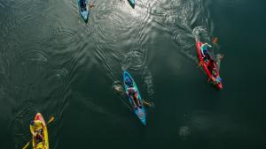 Kayakers paddle in Lady Bird Lake